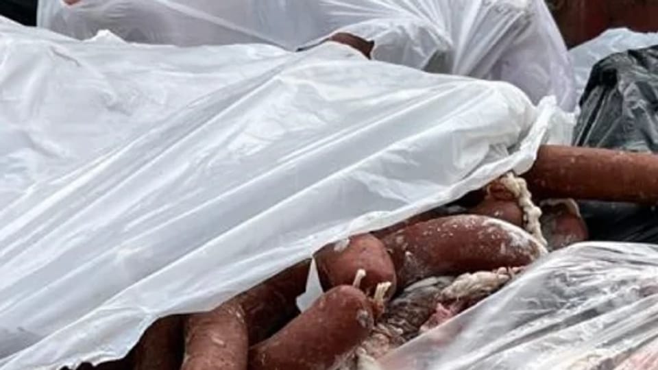 Sakarya'da dana sucuğunda domuz eti çıktı, 2,6 ton ürün imha edildi