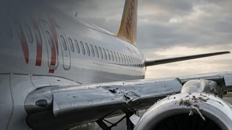 Kopenhag'a giden Pegasus uçağı kuş çarpması nedeniyle İstanbul'a döndü