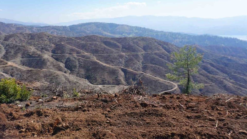Kahramanmaraş'ta yangın sonrası ormana yıl sonuna dek 1 milyon fidan dikilecek