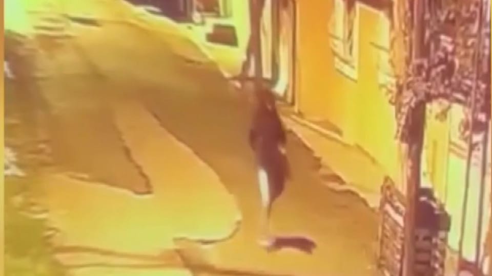 Pendik'te hedef karıştırıldı: Haraç isteyen çete kuryeyi ağır yaraladı
