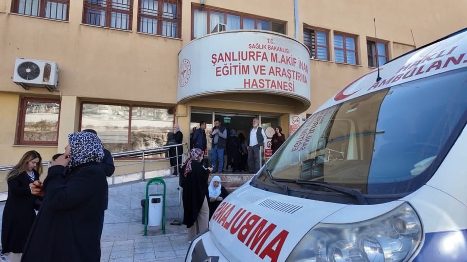Şanlıurfa'da okulda yenen yaprak sarması 12 öğrenciyi hastanelik etti