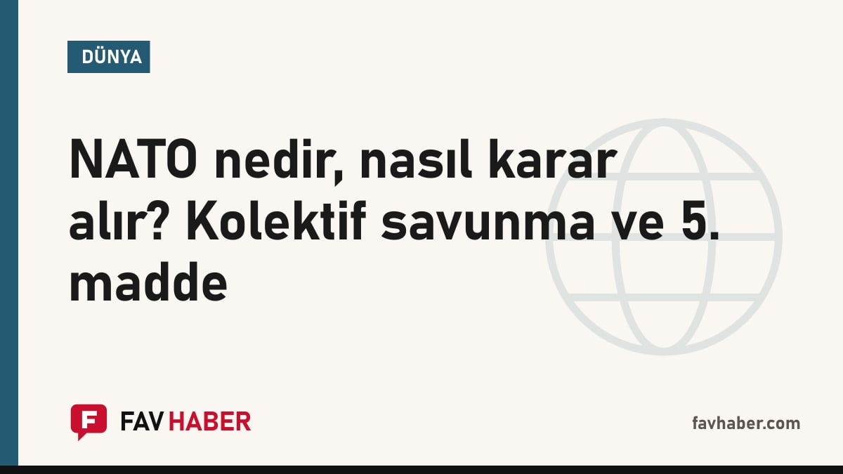 NATO'nun karar alma yapısını ve kolektif savunma ilkesini anlatan rehber için harita temalı kapak görseli