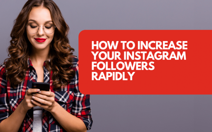 Increasing Instagram Followers