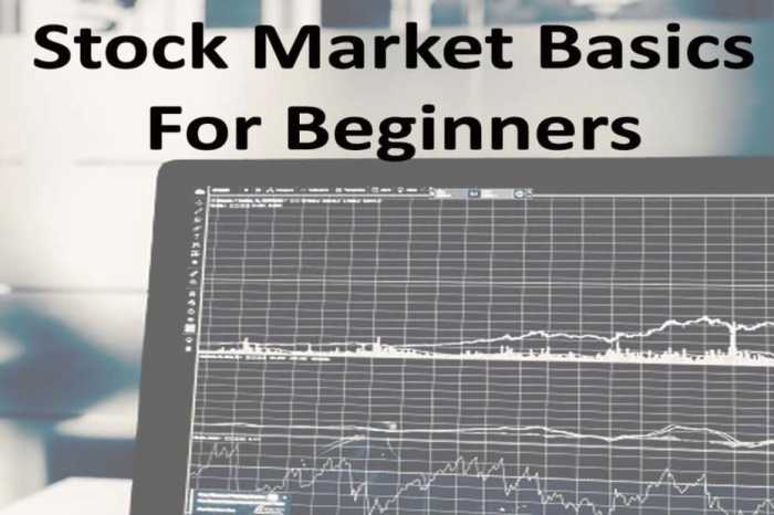 Stock Market Basics