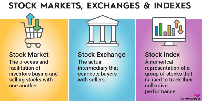 Stock Market Basics